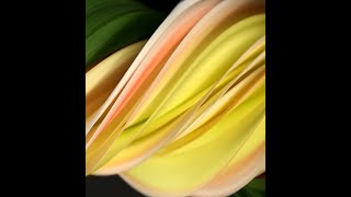 Tutorial on slitscan imaging along with measurements and twisty flowers [upl. by Odranoel]