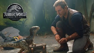 Jurassic World Fallen Kingdom  Final Trailer HD MEGA REACTIONS MASHUP [upl. by Bathulda77]