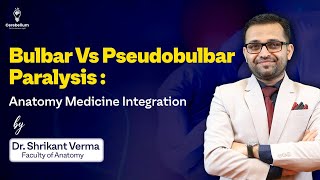 Bulbar Vs Pseudobulbar Paralysis  Anatomy Medicine Integration  Cerebellum Academy [upl. by Octavius]