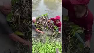 fishingtips carpfishing fish catfish fishing funny abrazzkhan bollywoodmusic comedy [upl. by Tanya]