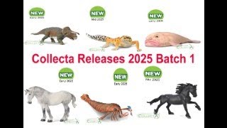 Collecta 2025 Released Batch 1 😊😍 [upl. by Fernald162]