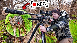 My First Ever Coyote Hunting Tournament  Scope Cam [upl. by Fontana]