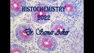 Introduction to histochemistry [upl. by Aketal]