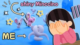 I Failed This Shiny Minccino By Playing As Cinccino The Indigo Disk Shiny Hunting [upl. by Amr]