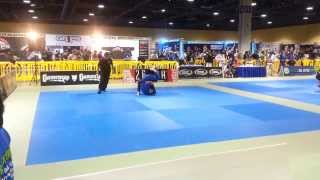 Mike Murrell Flying Arm Bar at the World BJJ Expo [upl. by Yuille]