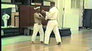 Sanchin kata  2 of 4 Bunkai Angi Uezu Isshinryu [upl. by Sweatt]