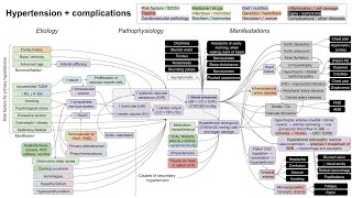 Hypertension and complications mechanism of disease [upl. by Siladnerb121]