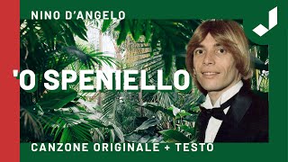 Nino DAngelo  O speniello [upl. by Strader]