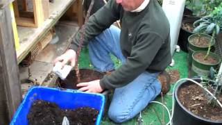 In The Garden Shop with Michael Toolson Episode 3 Monticello Applesmov [upl. by Noryahs852]