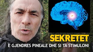 SEKRETET E GJENDRES PINEALE 😳 JA SI TA STIMULONI🗨 [upl. by Einaffyt]