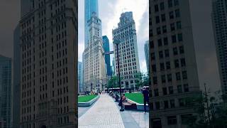 CHICAGO DOWNTOWN USA 🇺🇸 windycity chicagoland illinois usashorts usatravel chicago [upl. by Kciredes]