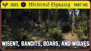 Medieval Dynasty  2023  Part 145  Wisent Bandits Boars and Wolves [upl. by Anuaek977]