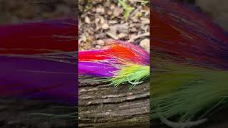 Baitfish fly pattern Bright and flashy [upl. by Blackmun]