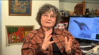 Interview with Ingrid Daubechies [upl. by Pietra]