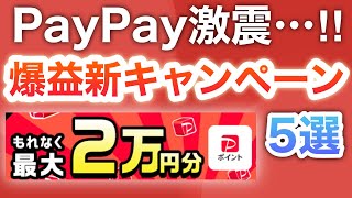 10月コレがヤバすぎる‼︎PayPay新キャンペーン5選 [upl. by Gitlow]