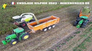 🐮 ENSILAGE DE SILPHIE 2023  Culture si PROMETTEUSE  🌼 [upl. by Naicad]