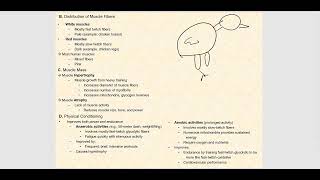 Lecture Video 9 Muscle Tissue amp Muscle Physiology [upl. by Assirroc]