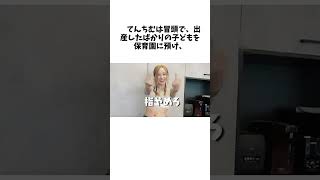 てんちむ 超高額の賠償金で自己破産の可能性示唆 賠償額には「納得できない」「半分は申し訳なく思えない」と拒否感あらわに関する面白い雑学 雑学 お笑い 芸人 エンタメ [upl. by Hadden533]