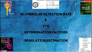 Glomerular Filtration Rate amp its Determination Factors Regulation estimation In Physiology [upl. by Pamelina132]