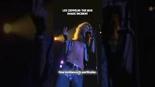 LED ZEPPELIN THE MUD SHARK INCIDENT shorts [upl. by Olecram]