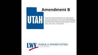 Constitutional Amendment B Explained [upl. by Aivan226]