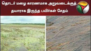 தஞ்சை தொடர் மழை காரணமாக அறுவடைக்குத் தயாராக இருந்த பயிர்கள் சேதம்  Paddy  Rain  Crops damage [upl. by Leff]