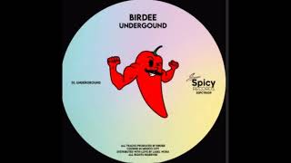 Birdee  Undergound Extended Mix [upl. by Arahahs]