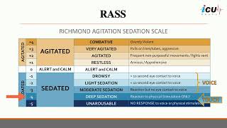 Richmond AgitationSedation Scale RASS [upl. by Horne949]