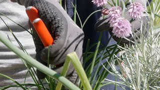 Betriebsbesuch bei der GARTEN TULLN [upl. by Naitsirc]