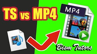 Como converter o formato de contêiner TS para o MP4 rápido [upl. by Ardme]