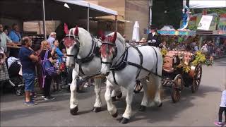 2019 Festumzug 85 Bietigheimer Pferdemarkt Teil 15 [upl. by Orozco]