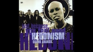 GT 10  HEDONISM  SKUNK ANANSIE  guitarcover by DomenicoDastaMimiking hedonism [upl. by Atteuqihc]