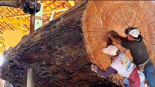 Rain tree monster shocks America ‼ world class trembesi wood sawmill [upl. by Satterlee]