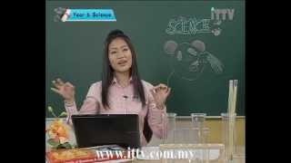 iTTV UPSR Year 6 Science 4 Interaction Among Living Things Groups Animals and Solitary Animals [upl. by Aekahs484]