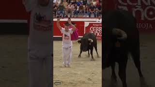 salto diego almarza toros bravos Azpeitia shorts 2 [upl. by Nolahs]