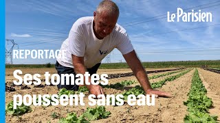 Cet agriculteur parvient à faire pousser des légumes sans une goutte deau [upl. by Higgins]