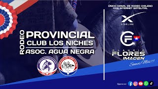 2da SERIE LIBRE  RODEO PROVINCIAL  CLUB LOS NICHES  Asoc Aguanegra [upl. by Ehtyde]