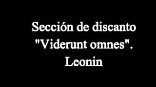 Sección de discanto en quotViderunt omnesquot de Leonin [upl. by Inalaehak68]