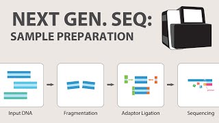 2 Next Generation Sequencing NGS  Sample Preparation [upl. by Ahtabbat]