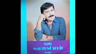 Aşık Mahzuni Şerif  Deli Miyim Ben [upl. by Trinetta557]