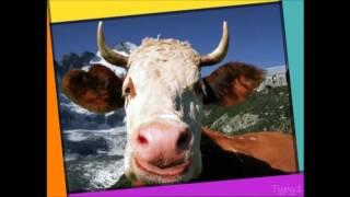 Home On The Range  Yodel Mania English HD [upl. by Sible]