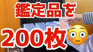 【アタッシュケース】鑑定品の収納には何が良いのか？CARD ONEのカードボックスを購入しました！ [upl. by Emmit]