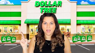 I Bought Only BRAND Name Products at Dollar Tree for 125  Dollar Tree [upl. by Arlie]