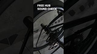 Free Hub Nautilus asmr asmrsounds eargasm strummer freehub loncer soundcheck [upl. by Akenihs]