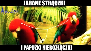 PAPUŻKI NIEROZŁĄCZKI 😆🔥 [upl. by Led592]