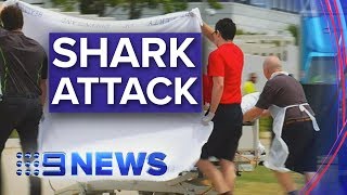 Two British tourists savaged by shark in Whitsundays  Nine News Australia [upl. by Husha]