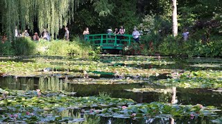 Claude Monet’s Water Garden filled with water lilies at Giverny in Normandy France [upl. by Airamana218]