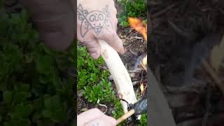 Gluing A Copper Axe Head  Otzi The Ice Man Style bushcraft otzi primitiveskills survival [upl. by Abbub]