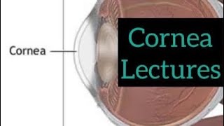 Cornea lectures part 9 Eye  ophthalmology lectures eyelectures opthalmology eye cornea [upl. by Gilleod]