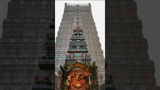 sringeri sharadamba Devi trending video youtubeshorts [upl. by Anuaek]